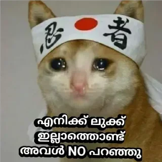 🥺 emoji @am_DQ_fan Vol.3 Telegram sticker 13 of 45