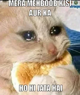 🥺 emoji Tharki Log Stickers Telegram sticker 10 of 75