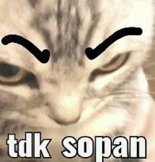 💌 emoji apa gatau Telegram sticker 10 of 51