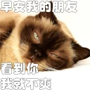 🗯 emoji 早安我的朋友 Telegram sticker 10 of 20
