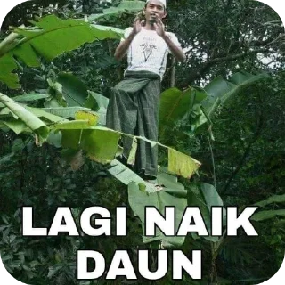 Sticker from by : jo