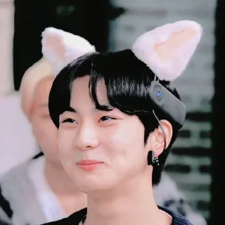 🍚 emoji jungwon Telegram sticker 13 of 65