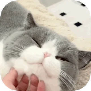 🤤 emoji 𝙊𝙥𝙨 ! 𝙈𝙮 𝙎𝙩𝙞𝙘𝙠𝙚𝙧 : 𝘽𝙚𝙩𝙖 Telegram sticker 23 of 40