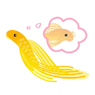 😍 emoji @Tikelin Happy Tropical Fish Telegram sticker 4 of 80