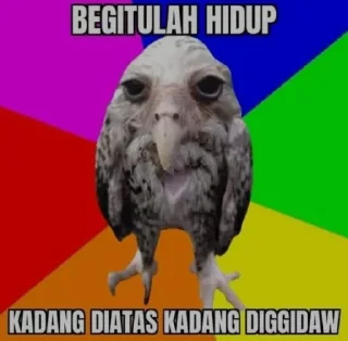 😐 emoji janeee jaya bersama meme Telegram sticker 19 of 47