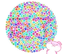 🤓 emoji 你有色盲的問題嗎? Telegram sticker 20 of 40