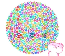 🤓 emoji 你有色盲的問題嗎? Telegram sticker 23 of 40