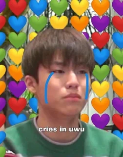 🥲 emoji hyunsuk choi Telegram sticker 13 of 29
