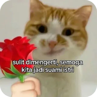 🤪 emoji adis imup Telegram sticker 9 of 80