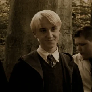 Sticker from ꜜ ᩠  ꉂ ִֶָ  draco malfoy  ࣪ ͎ @sweetymillsㅤ