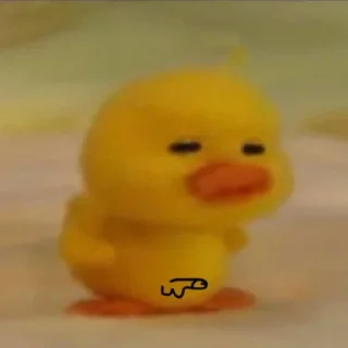 🤟 emoji bebek jamets Telegram sticker 14 of 16