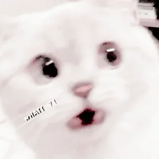 🍓 emoji kucꪱng gᧉmαcc  ๑•᎑<๑ Telegram sticker 20 of 93