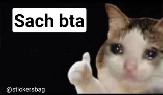 🥲 emoji Cat meme    @stickersbag Telegram sticker 14 of 96
