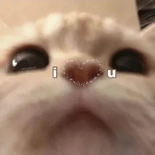 🧏‍♀ emoji 777 Telegram sticker 24 of 60