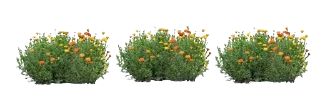 🌿 emoji @lilyrabelle's property Telegram sticker 22 of 25