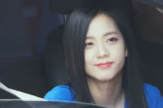 🦋 emoji Jisoo // @VINKHA Telegram sticker 16 of 25