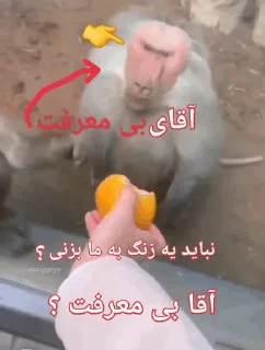 😡 emoji کیکاووس باباحیدر Telegram sticker 6 of 115