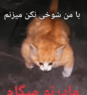 😊 emoji کیکاووس باباحیدر Telegram sticker 18 of 115