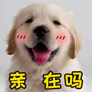😊 emoji 更多表情 @appmail 频道搜索 @S_Suo8 Telegram sticker 15 of 50
