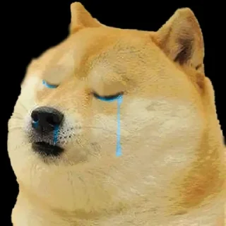 😥 emoji doge Telegram sticker 11 of 15