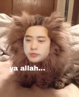 😔 emoji ៸៸ 🌱 𝐍𝐂𝐓〻✨˚₊ ୭̥  @fullsuntzen Telegram sticker 2 of 84