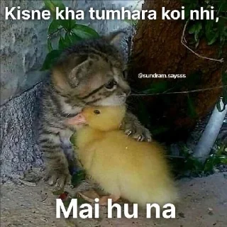 🫂 emoji Apna hi pack samjho Telegram sticker 9 of 42