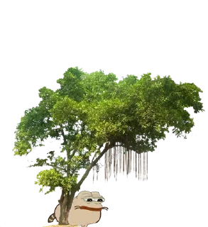 🌳 emoji @BTC_pLaneT 🚀 Telegram sticker 17 of 120