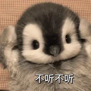 🙉 emoji 🐧企鹅｜@manilano1 Telegram sticker 6 of 39