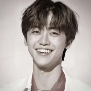 🐴 emoji NCJAEMIN @leviosastory Telegram sticker 8 of 38