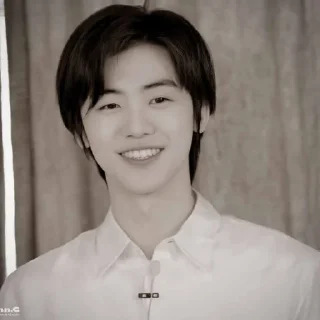 🐴 emoji NCJAEMIN @leviosastory Telegram sticker 13 of 38