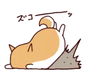 🐶 emoji Lazy Shiba Telegram sticker 23 of 120