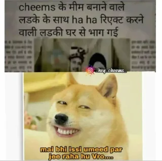 Sticker from Cheems the doge @Mishrajii_726 (@CalsiBot)