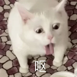 🤣 emoji 恭喜发财 @PYQDBQ Telegram sticker 4 of 108