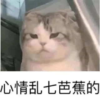 🤣 emoji 恭喜发财 @PYQDBQ Telegram sticker 22 of 108