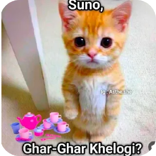 😿 emoji Rakesh 😎 (@CalsiBot) Telegram sticker 22 of 120