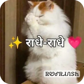 Sticker from ᏒᏬᎴᏒᏗᏁᏕᏂㅤㅤ :: @CHIP_404