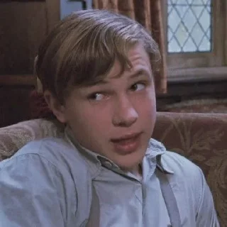 🍁 emoji ꜜ ᩠  ꉂ ִֶָ  peter pevensie  ࣪ ͎ @sweetymillsㅤ Telegram sticker 23 of 48