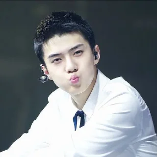 🐻 emoji Sehun cute @aesthaticgirll Telegram sticker 7 of 32