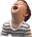 😂 emoji William Telegram sticker 17 of 52