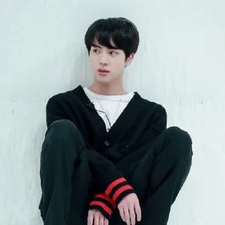 🐹 emoji JINOREZ as @SEOKJINIEST Telegram sticker 2 of 119