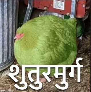 🐔 emoji Sumant's cringe compilation Telegram sticker 16 of 119