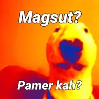 🐬 emoji din dan el Telegram sticker 7 of 38