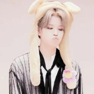 🐶 emoji seungmin's skz by @HYUNJlNlE Telegram sticker 7 of 25