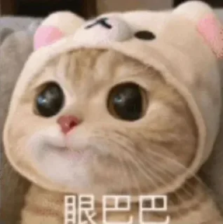 🥺 emoji 柠檬&桃子专属表情包 Telegram sticker 3 of 120