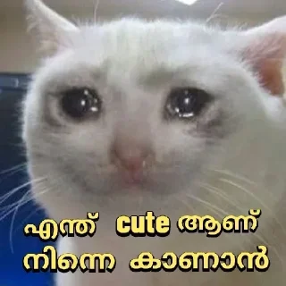😂 emoji Poocha ser Telegram sticker 10 of 112