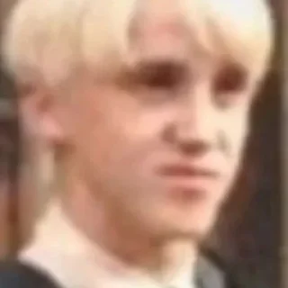 🤔 emoji Draco meme Telegram sticker 8 of 13