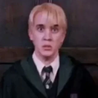 Sticker from Draco meme
