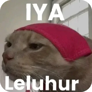 Sticker from kenzu naik haji