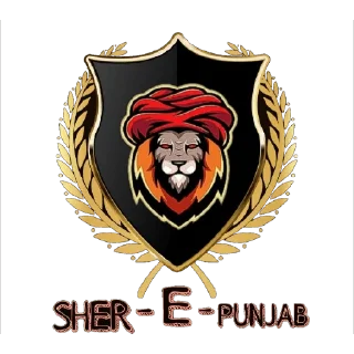 🥎 emoji ICCL Telegram sticker 11 of 14