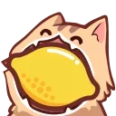 🍋 emoji YJBeetle的奇怪贴纸 Telegram sticker 19 of 29